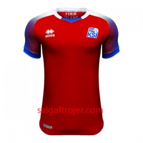 Island Fodboldtrøjer Målmand Hjemmebanesæt VM 2018